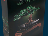 une boîte de Lego contenant un bonsaï