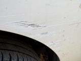 a cat that is sitting on the ground next to a car