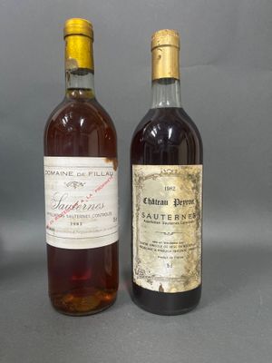 BORDEAUX - Ensemble de 2 bouteilles composé de : 1 bouteille…