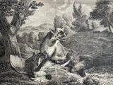 a drawing of a fox and a bird in the woods