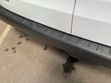 a close up of the front bumper of a white car