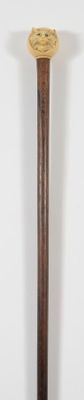 Canne décorative à fût en palissandre, pommeau en ivoirine figurant un - Photo 1