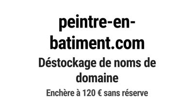 Nom de domaine peintre-en-batiment.