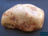 a potato with a spider web drawn on it