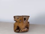 un petit morceau de bois posé sur une table