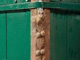 a close up of a green box with a decorative design on it
