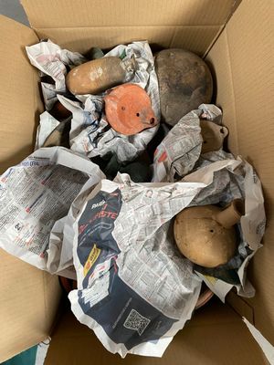 a cardboard box full of potatoes and other items