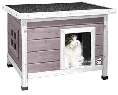 Le chat est assis dans sa niche, la porte ouverte.