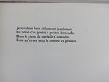 Photo 4/10 du lot