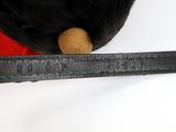 a close up of a black bear with a ruler in its mouth