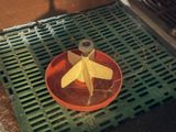 a red plate with a yellow paper airplane on it