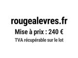 Photo 1/1 du lot