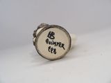 an image of a ring with the name of a person on it