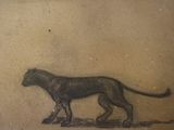drawing of a cheetah walking across a field with a bird in it ' s mouth