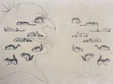 dessin représentant le visage d'une femme avec différents types d'yeux