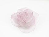 a pink rose that is sitting on a white surface