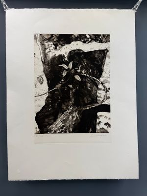 une photo en noir et blanc d'un ours accrochée au mur