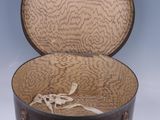 Photo 2/7 du lot