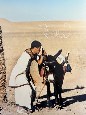 une vieille photo d'un homme caressant un âne dans le désert
