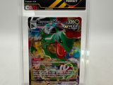 La carte à collectionner Pokémon se trouve dans un étui en plastique transparent