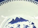 a blue and white plate with a design on it