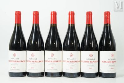 six bouteilles de vin rouge sont alignées sur une surface blanche