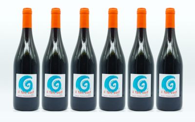six bouteilles de vin rouge sont alignées