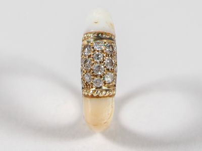 une bague comportant une dent sur une surface blanche
