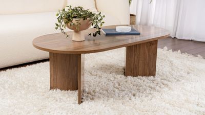 a coffee table with a potted plant on top of it