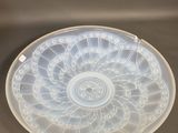 a glass plate with a circular design on it