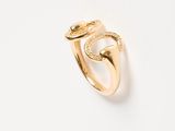 a gold ring with a snake in the middle of it