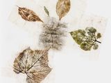a cross made out of dried leaves on a piece of paper