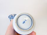 une personne tenant une tasse et une soucoupe bleues et blanches