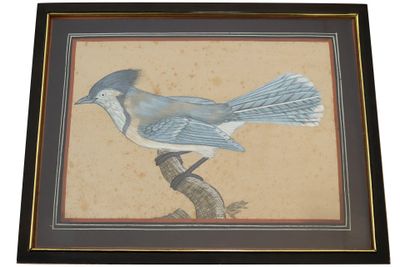 CHINE, XXe siècle Oiseau bleu Peinture sur soie. - Photo 1