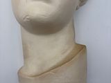 marble bust of a man with curly hair on a white background
