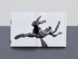 an open book with a sculpture of a dog on it ' s back