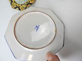 a person holding a plate that has a blue and white design on it