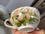 a person holding a cup and saucer with flowers painted on it