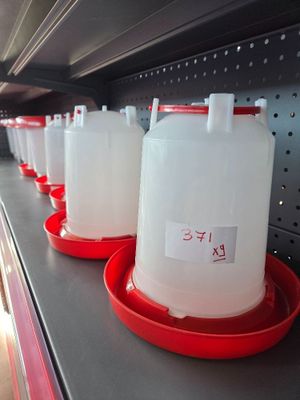 many plastic containers on a shelf in a store