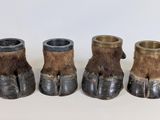 trois petits vases ornés de griffes, posés sur une table