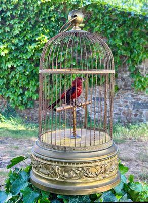 a bird in a cage sitting on top of a plant
