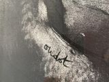 a close up of a painting of a dog with a name written on it