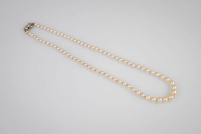 un collier composé d'un seul rang de perles, muni d'un fermoir en or