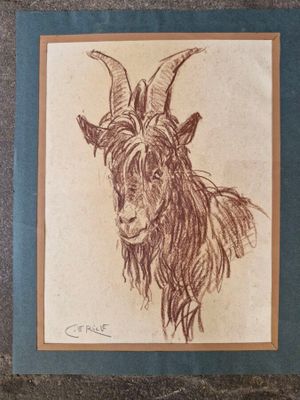 dessin d'une chèvre aux longues cornes sur une feuille de papier