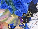 a close up of a bunch of blue and green leaves