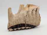 un morceau de bois sur lequel on a sculpté quelque chose