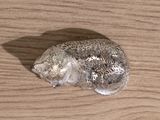 a small rock that is sitting on a wooden table