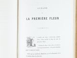 an open book with a picture of a cat on it