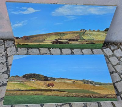 deux tableaux représentant un champ avec des vaches au loin et un ciel bleu