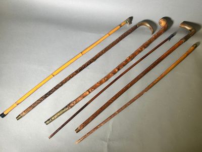 four different types of canes are lined up on a white surface